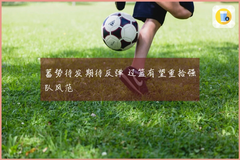 蓄势待发期待反弹 辽篮有望重拾强队风范