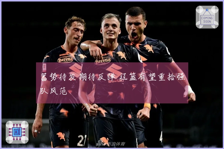蓄势待发期待反弹 辽篮有望重拾强队风范